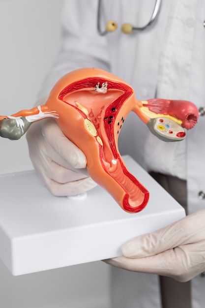 Obstetrics & Gynecology